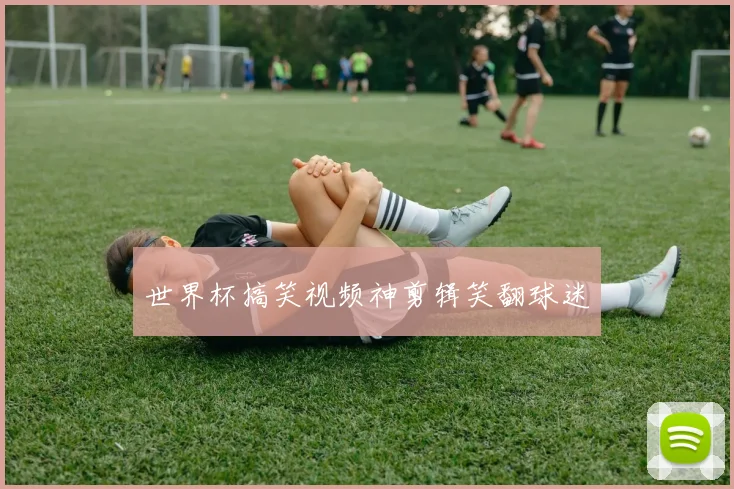 世界杯搞笑视频神剪辑笑翻球迷