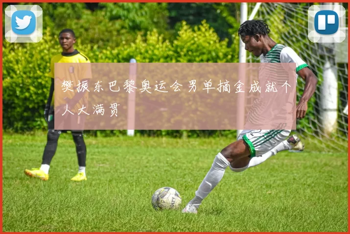 樊振东巴黎奥运会男单摘金成就个人大满贯